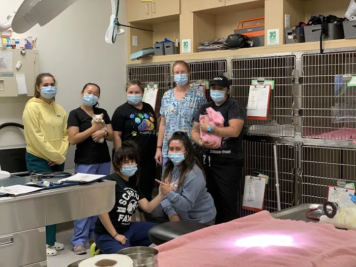 VCA Blossom Hill Animal Hospital Picture 5