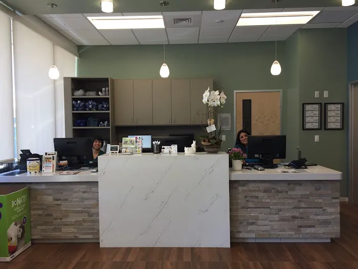 VCA Blossom Hill Animal Hospital Picture 8