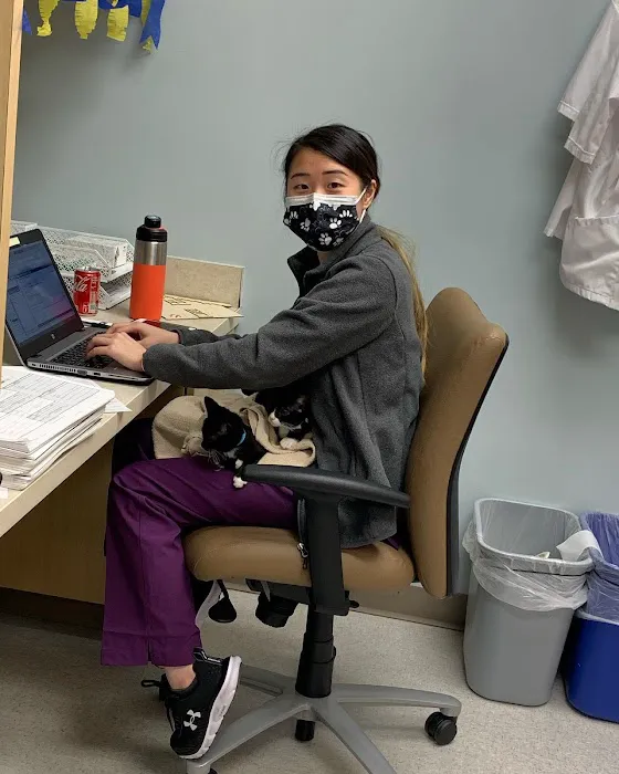 VCA Blossom Hill Animal Hospital Picture 10