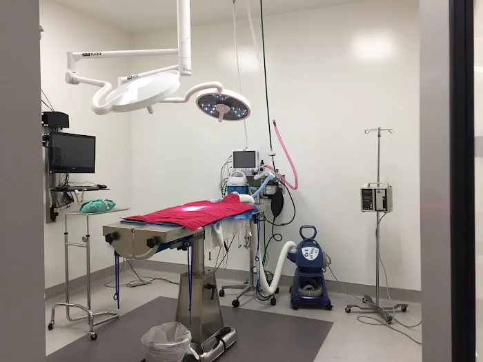 VCA Blossom Hill Animal Hospital Picture 9