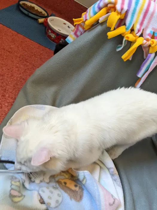 Humane Society Silicon Valley Medical Center Picture 5