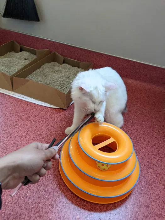 Humane Society Silicon Valley Medical Center Picture 6