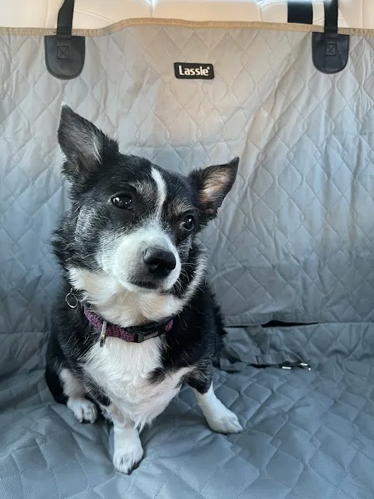 Calaveras Veterinary Clinic Picture 4