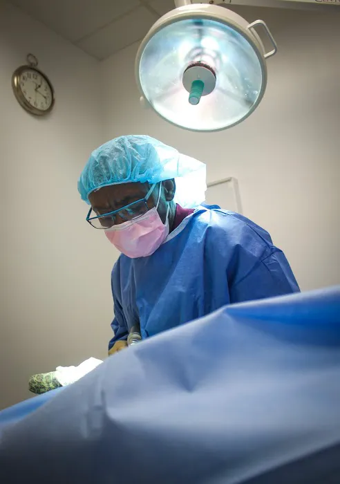 Abel Veterinary Surgical Center Picture 3