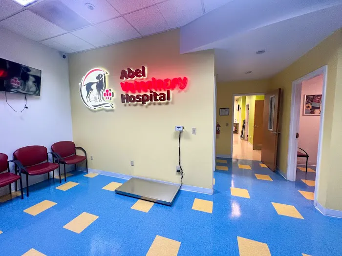 Abel Veterinary Surgical Center Picture 2