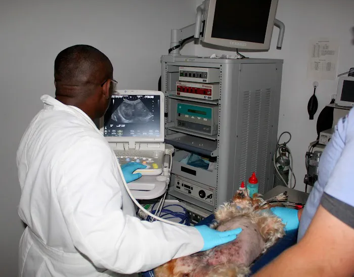 Abel Veterinary Surgical Center Picture 4