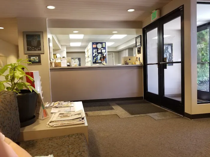 The Cat Hospital Picture 2