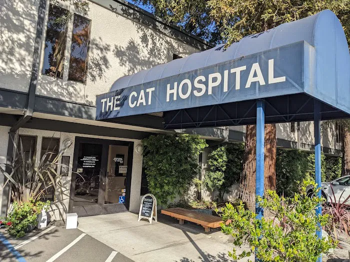 The Cat Hospital Picture 1