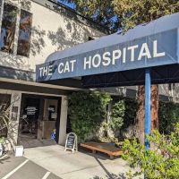 The Cat Hospital ico
