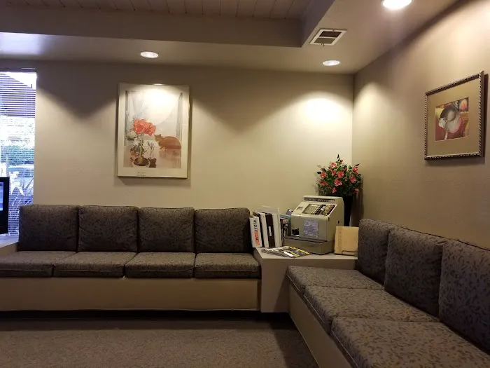 The Cat Hospital Picture 5