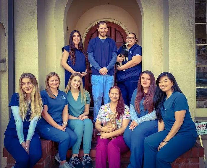 Dermatology for Animals - Campbell Picture 10