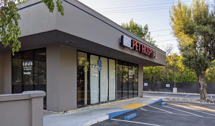 Santa Clara Pet Hospital Picture 3
