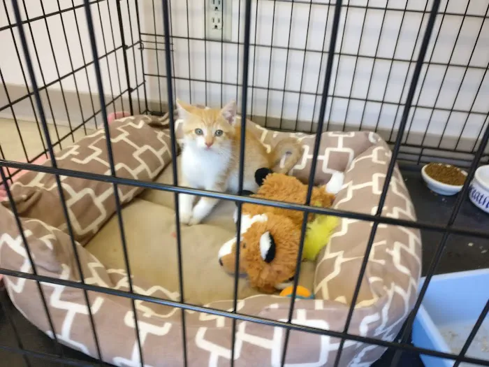 Santa Clara Pet Hospital Picture 9