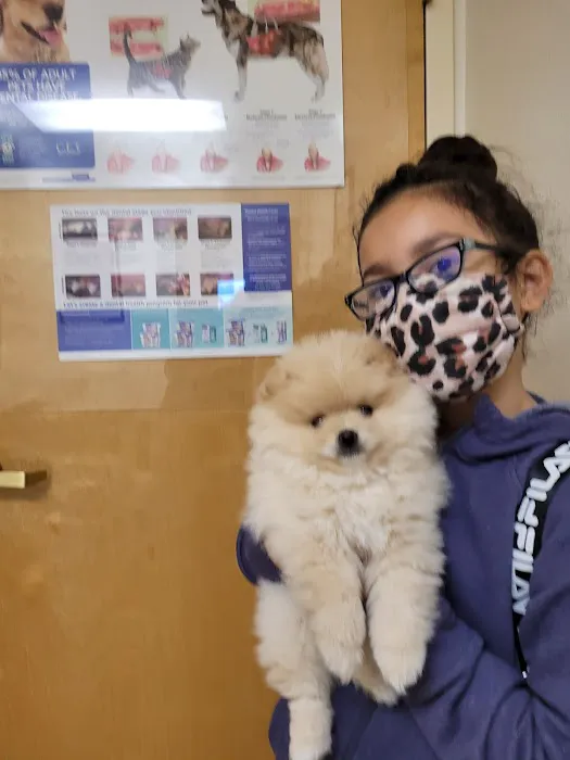 Quito Veterinary Hospital Picture 2