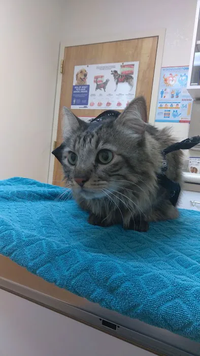Quito Veterinary Hospital Picture 8