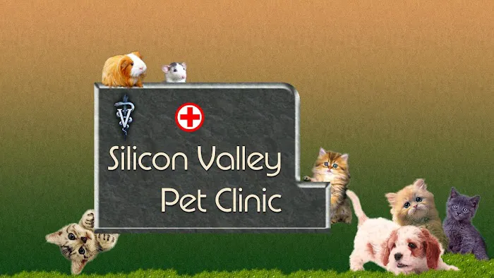 Silicon Valley Pet Clinic Picture 1