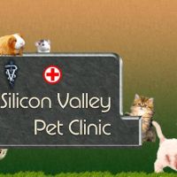 Silicon Valley Pet Clinic ico