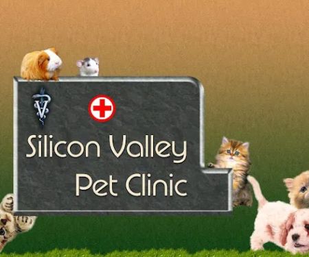 Silicon Valley Pet Clinic