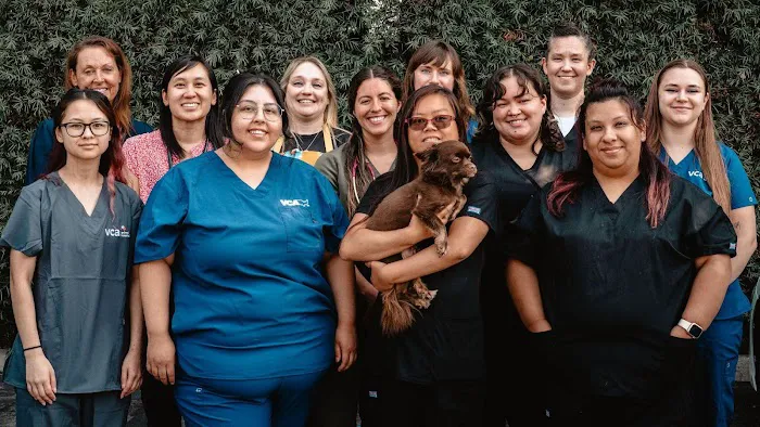 VCA Winchester Animal Hospital Picture 1