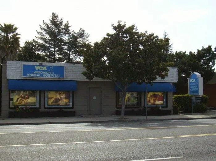 VCA Winchester Animal Hospital Picture 3
