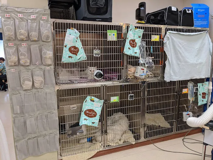 VCA Winchester Animal Hospital Picture 8