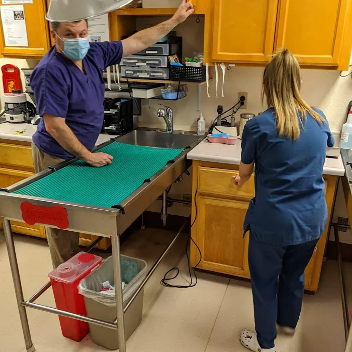 VCA Winchester Animal Hospital Picture 9