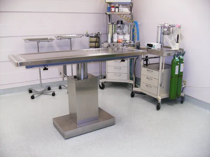 VCA Winchester Animal Hospital Picture 10