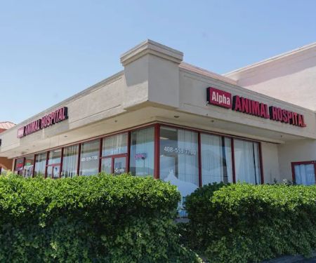 Alpha Animal Hospital