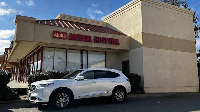 Alpha Animal Hospital Picture 5