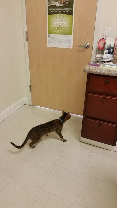 Alpha Animal Hospital Picture 9
