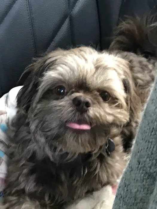 Alpha Animal Hospital Picture 8