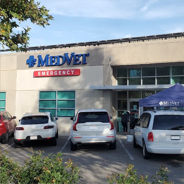 MedVet Campbell Picture 1
