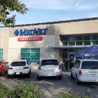 MedVet Campbell ico