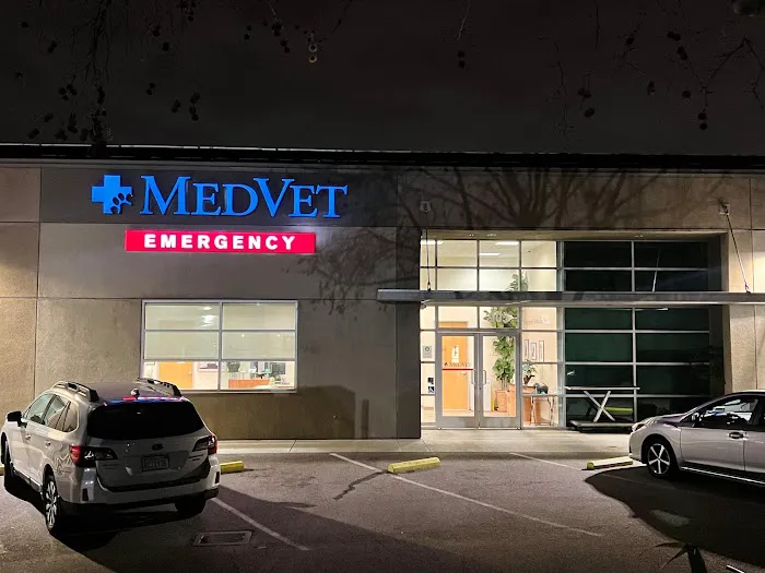 MedVet Campbell Picture 2