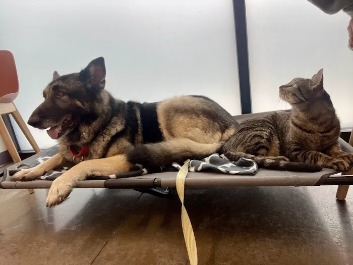 PAZ Veterinary East Picture 6