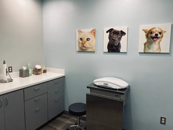 Bluebonnet Riverside Veterinary Clinic Picture 5