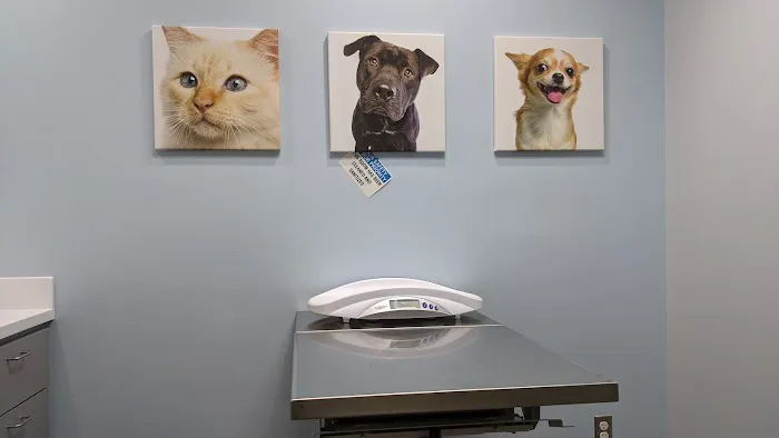 Bluebonnet Riverside Veterinary Clinic Picture 4