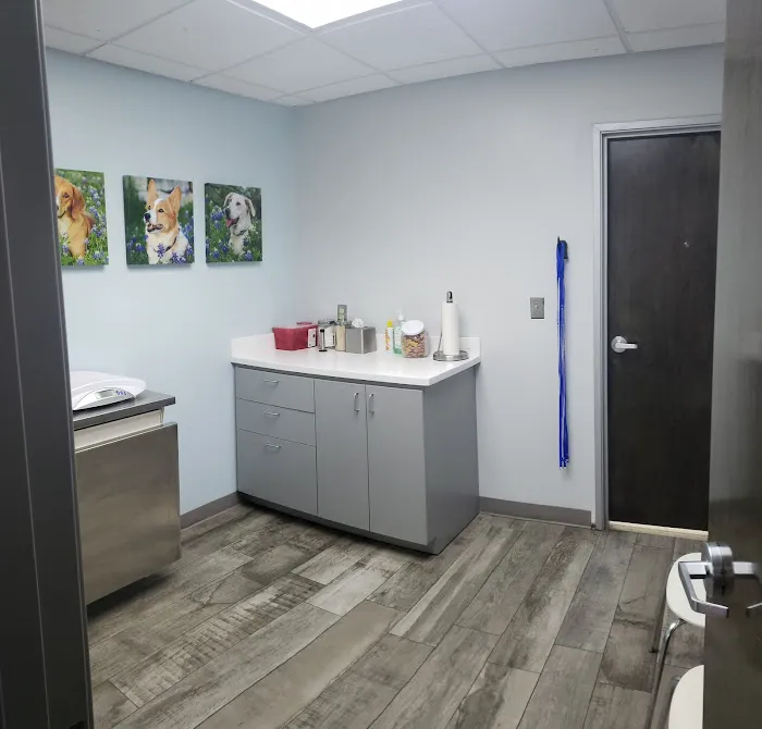 Bluebonnet Riverside Veterinary Clinic Picture 6