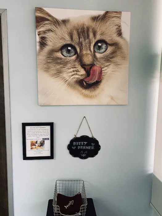 Bluebonnet Riverside Veterinary Clinic Picture 7
