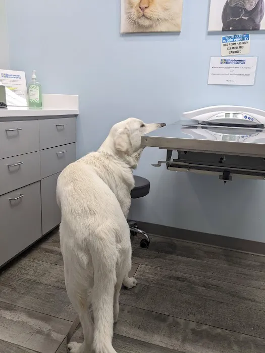 Bluebonnet Riverside Veterinary Clinic Picture 9