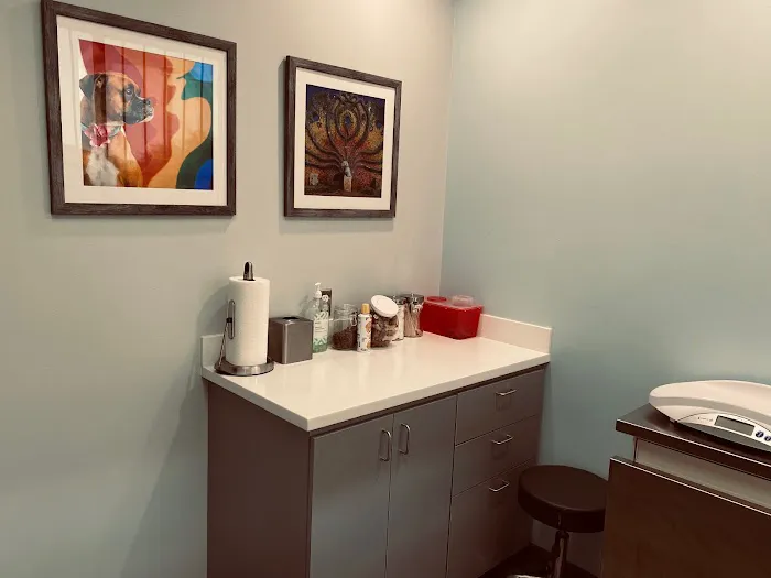 Bluebonnet Riverside Veterinary Clinic Picture 10