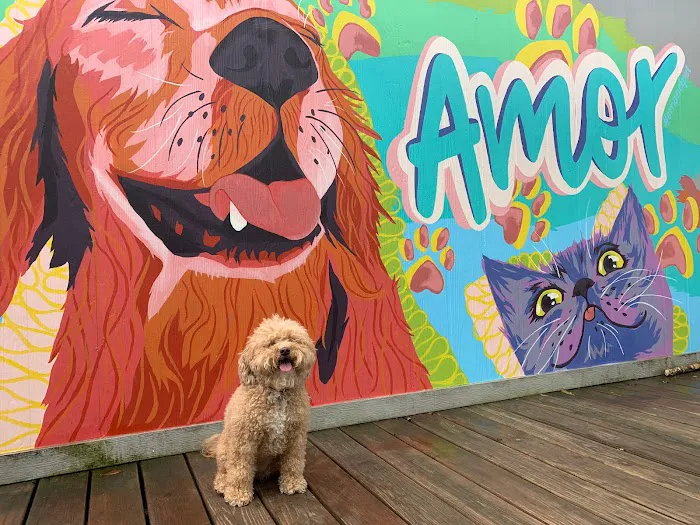 Emancipet Picture 1