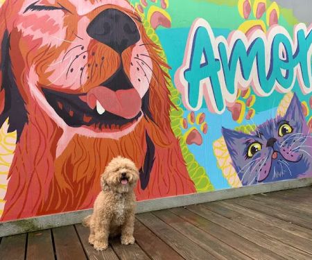 Emancipet