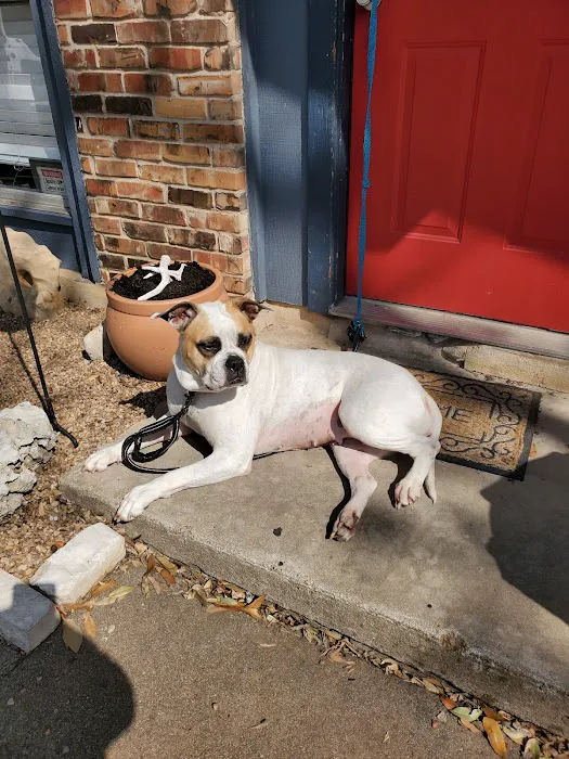 Emancipet Picture 4