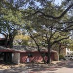 PAZ Veterinary West