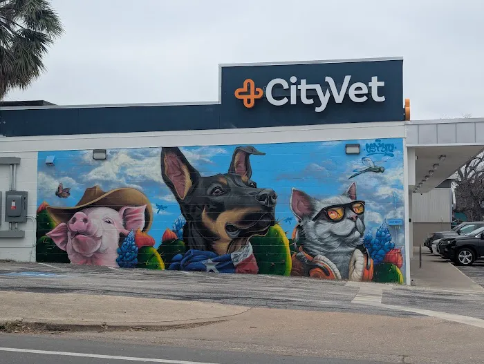 CityVet | Central Austin Picture 2