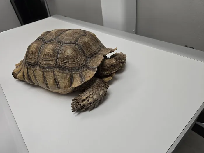CityVet | Central Austin Picture 1