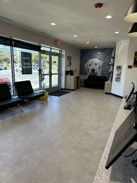 CityVet | Central Austin Picture 8