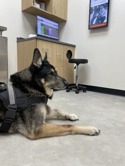 CityVet | Central Austin Picture 7