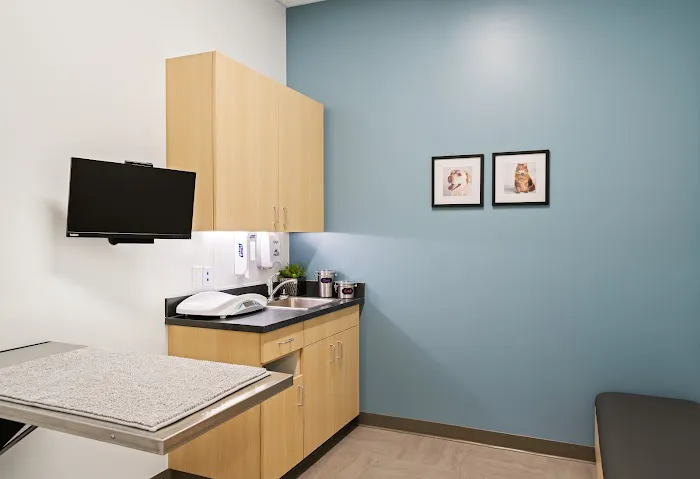 Pet Specialists of Austin Picture 2